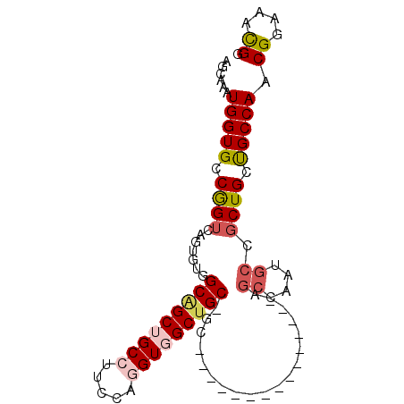 secondary structure
