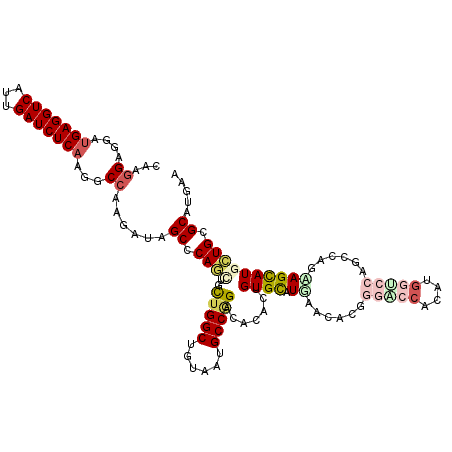 secondary structure