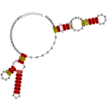 secondary structure