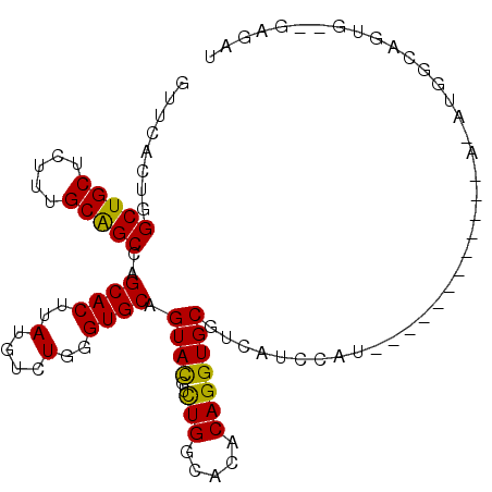 secondary structure