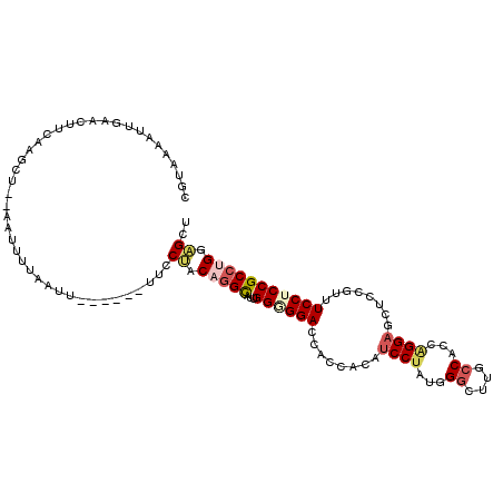 secondary structure