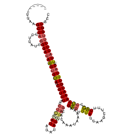 secondary structure