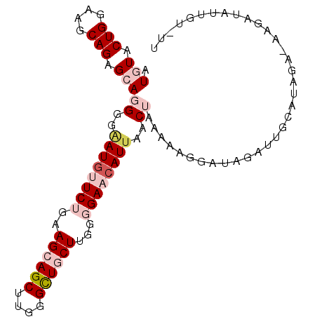 secondary structure