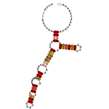 secondary structure
