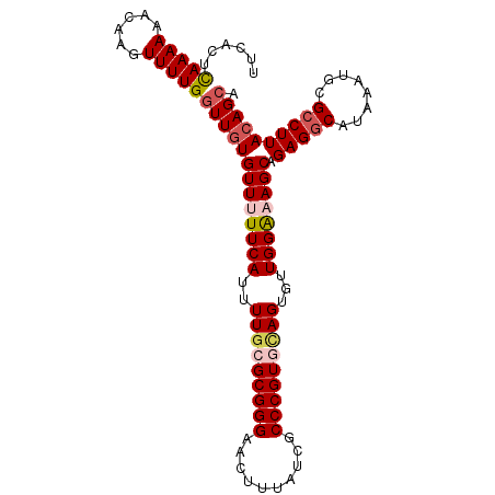 secondary structure