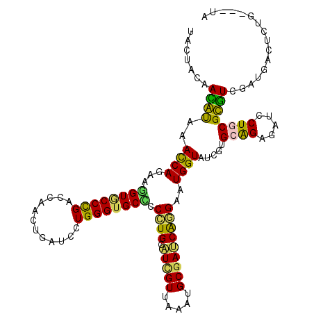 secondary structure