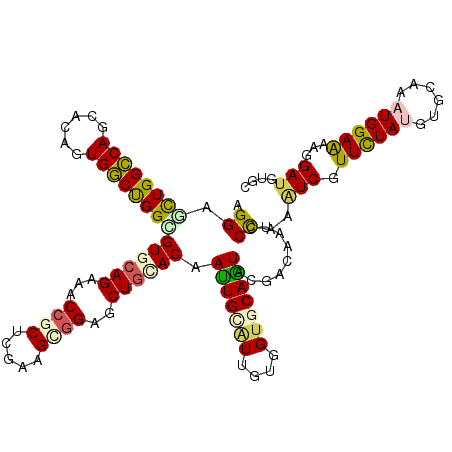 secondary structure