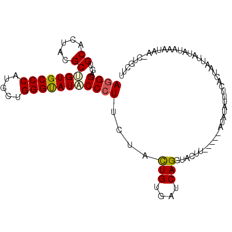secondary structure