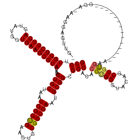 secondary structure