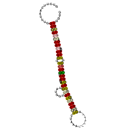 secondary structure