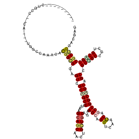 secondary structure