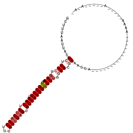secondary structure