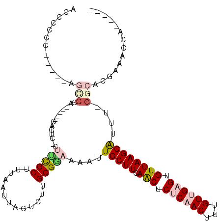 secondary structure