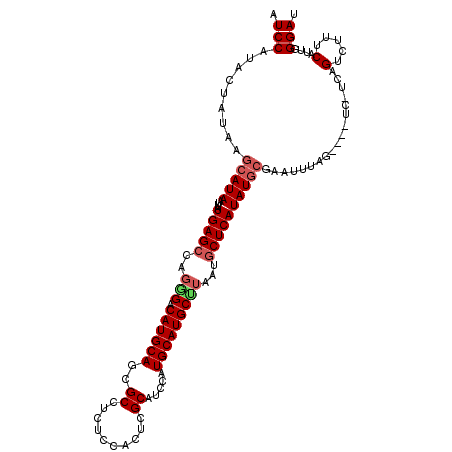 secondary structure