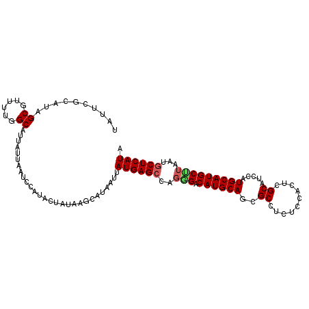 secondary structure