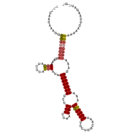 secondary structure