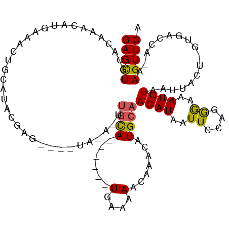 secondary structure