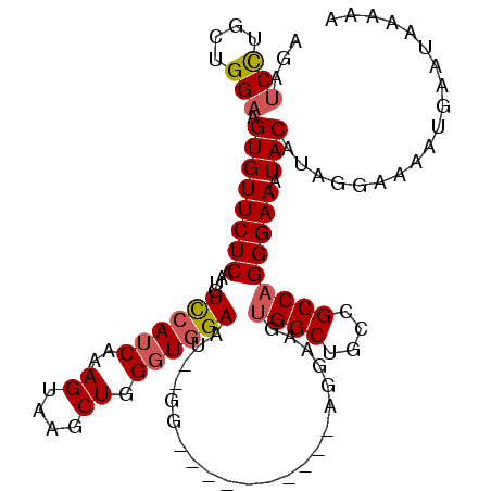 secondary structure