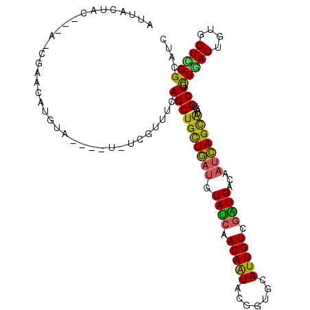 secondary structure