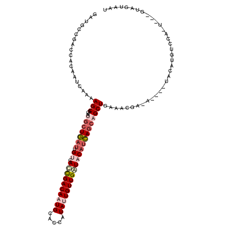 secondary structure