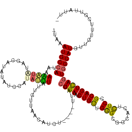 secondary structure