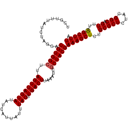 secondary structure