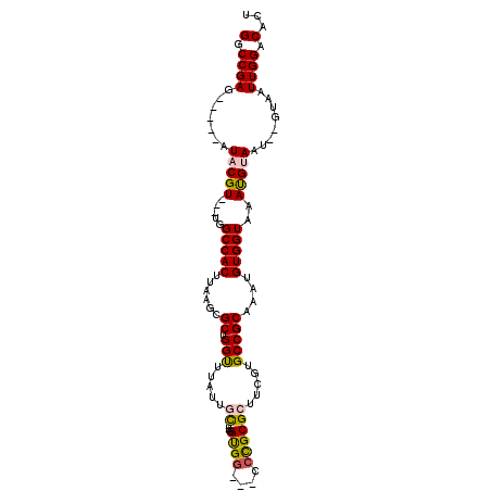 secondary structure