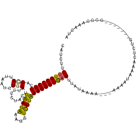 secondary structure