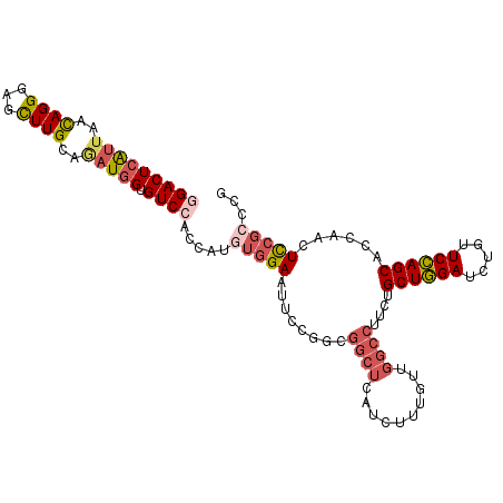 secondary structure