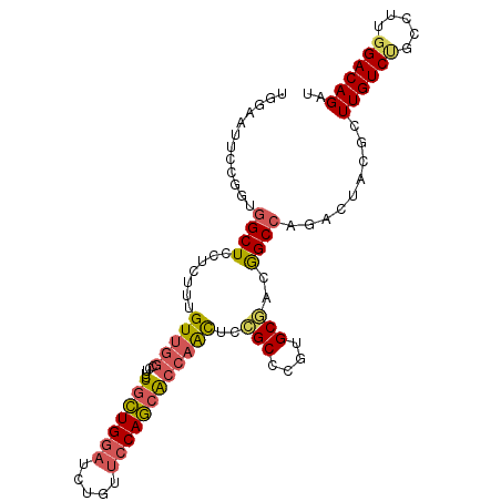 secondary structure