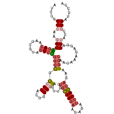 secondary structure