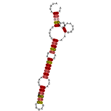 secondary structure