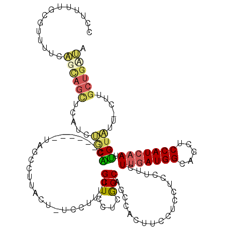 secondary structure