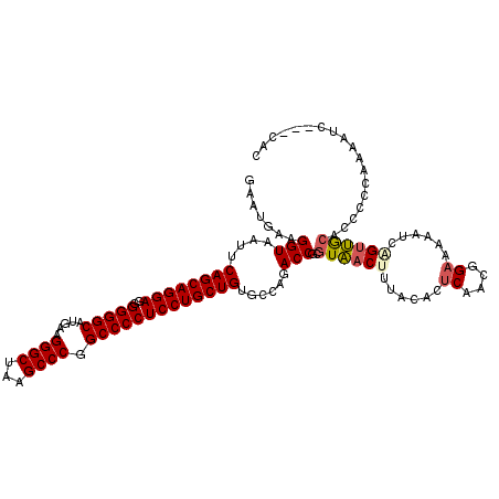 secondary structure