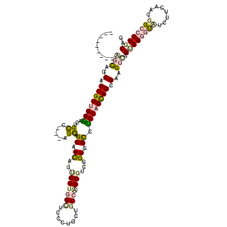 secondary structure