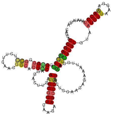 secondary structure