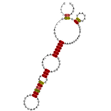 secondary structure