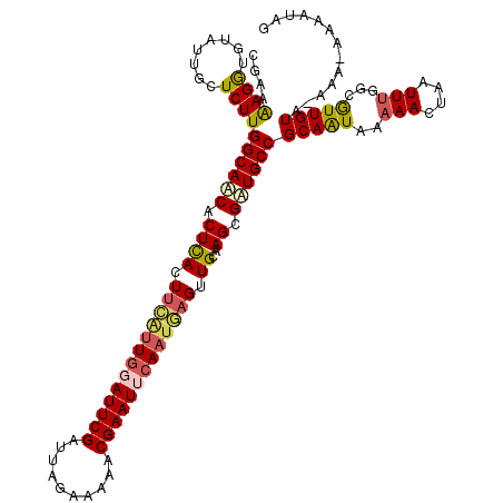 secondary structure