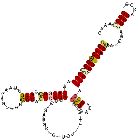 secondary structure