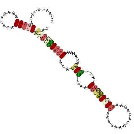 secondary structure