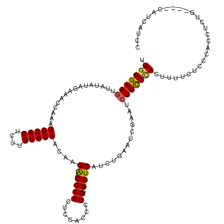 secondary structure