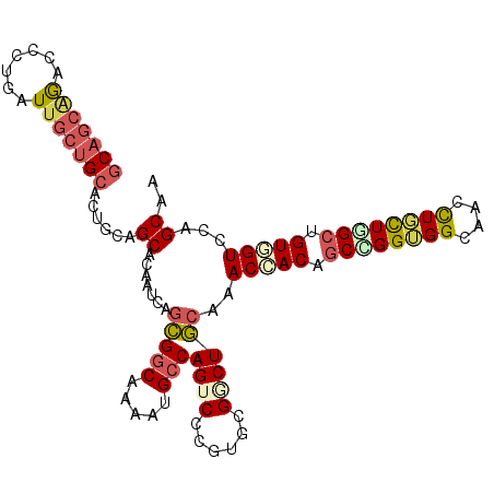 secondary structure