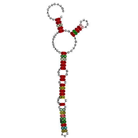 secondary structure