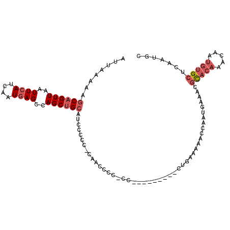 secondary structure
