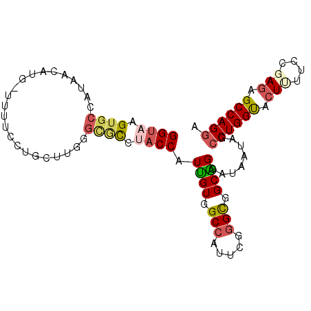 secondary structure