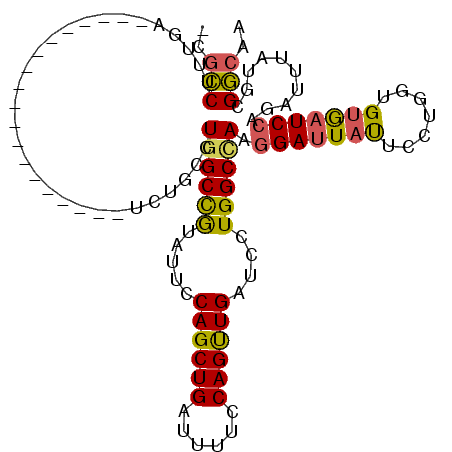 secondary structure