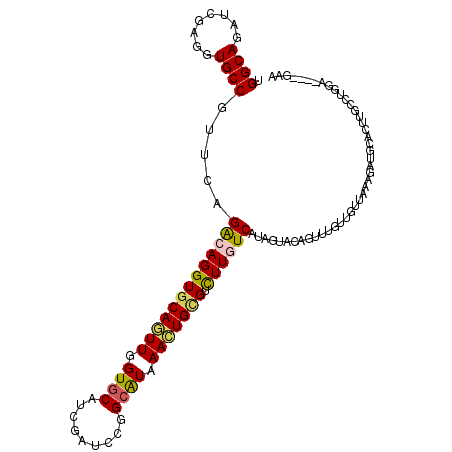 secondary structure
