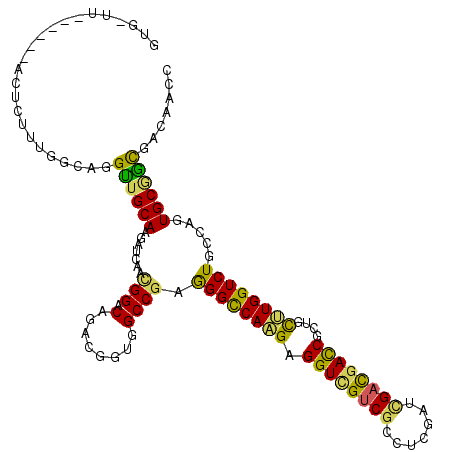 secondary structure