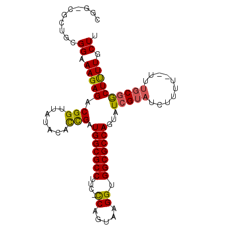 secondary structure