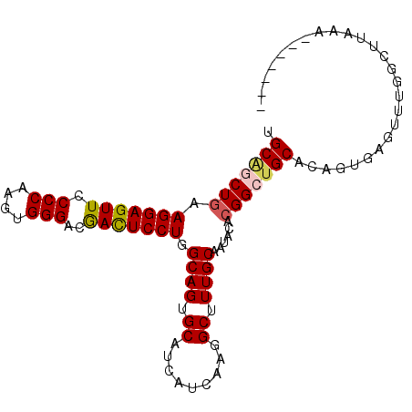 secondary structure